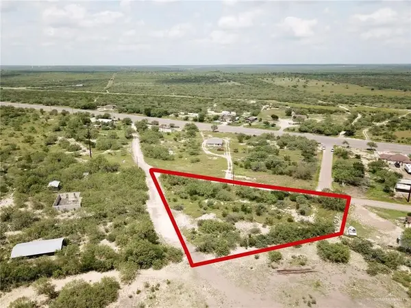 0 Los Indios Lane, Roma, TX 78584