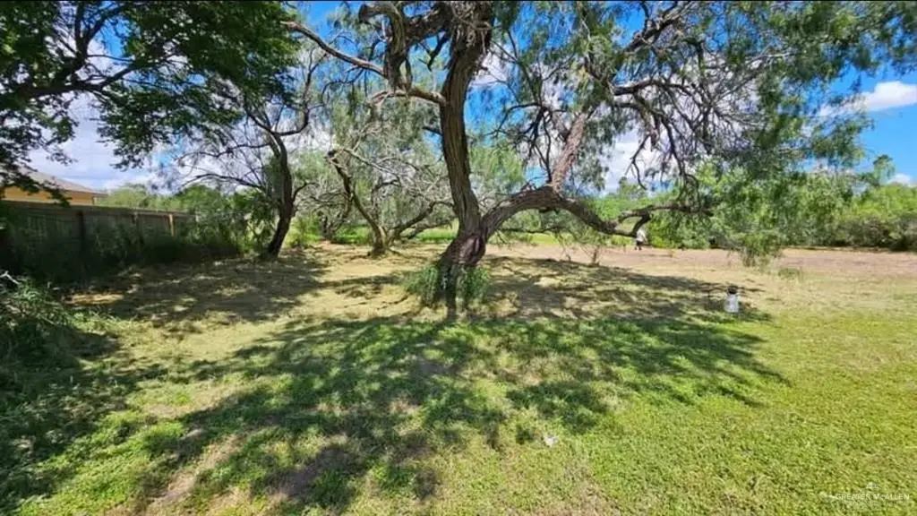 0 Mcfetridge Street, Harlingen, TX 78550 - Image #1