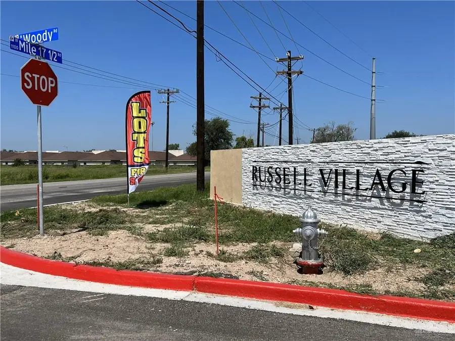 2316 Revolution Street, Edinburg, TX 78541 - #2