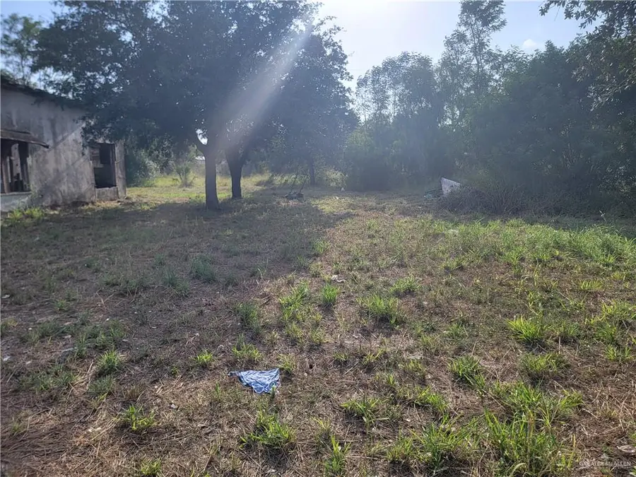 110 S Hill Street, Edcouch, TX 78538 - Image #2