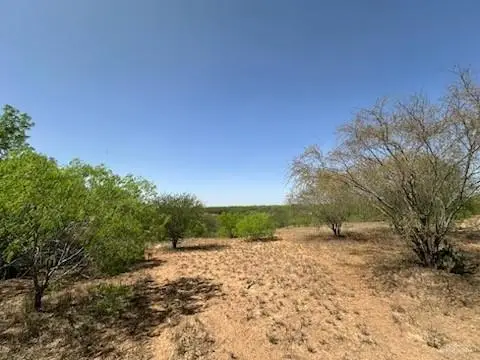 000 Cr 231, Premont, TX 78375 - Image #2