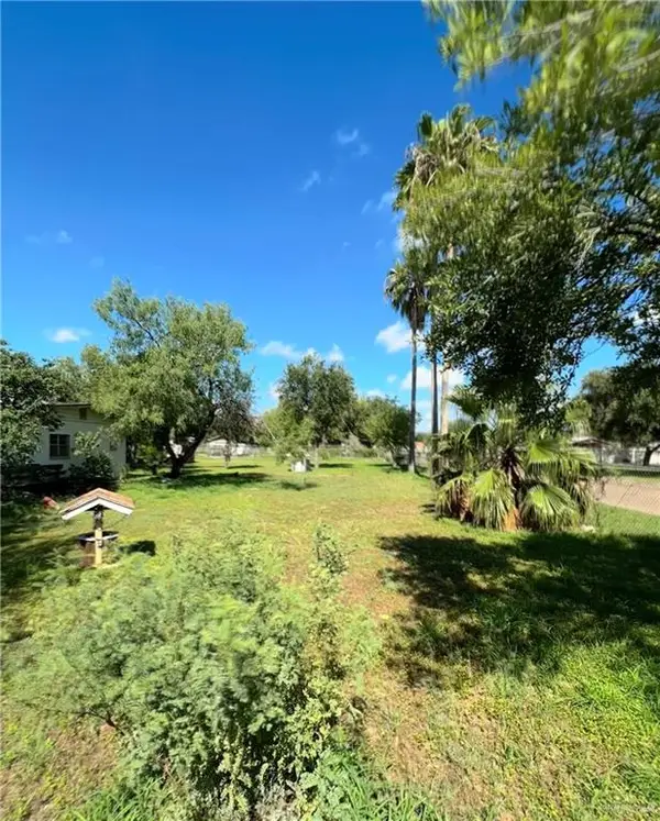 317 N 6th Street, Donna, TX 78537