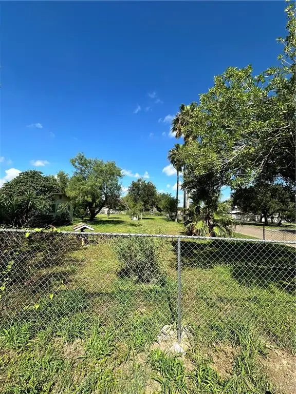 317 N 6th Street, Donna, TX 78537 - Image #2