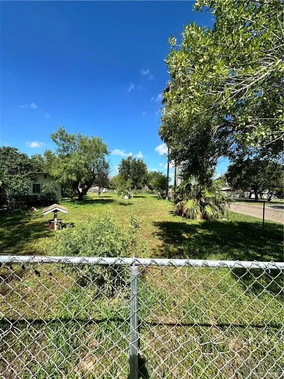 317 N 6th Street, Donna, TX 78537 - Image #3