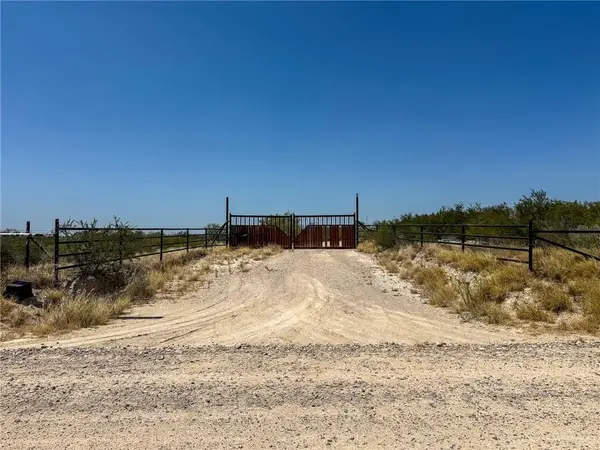 37 Vista Falcon Pvt Road, Roma, TX 78584