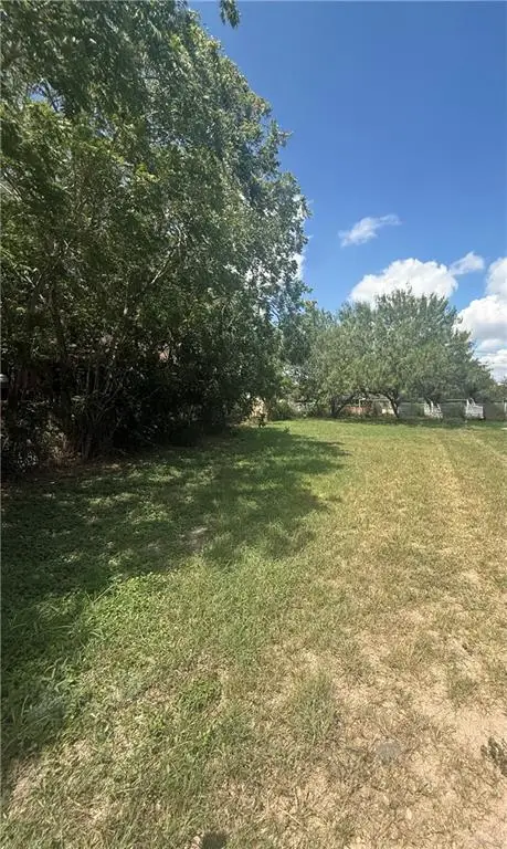 7100 S San Pedro Street, Pharr, TX 78577 - Image #2