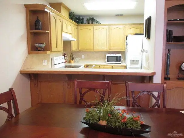 501 S Skyview Drive, Pharr, TX 78577 - Image #3