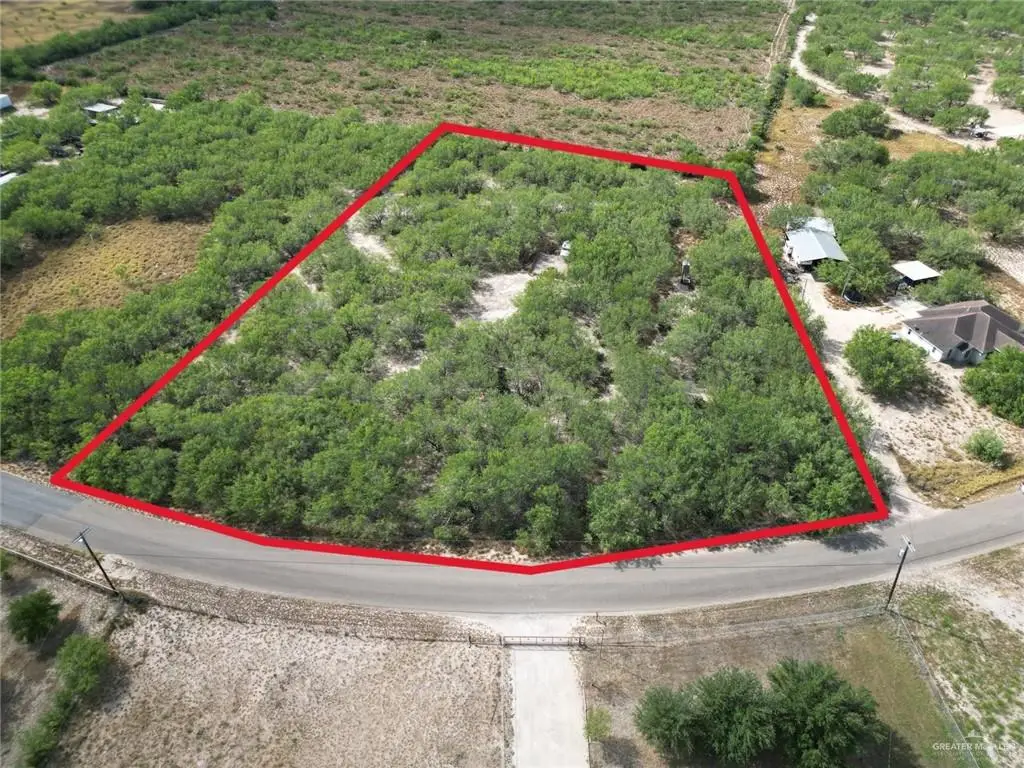 1868 Los Cenizos Road, Sullivan City, TX 78595 - Image #1