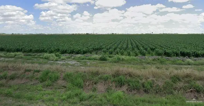 18499-18353 Fm 2556, Santa Rosa, TX 78593 - Image #3