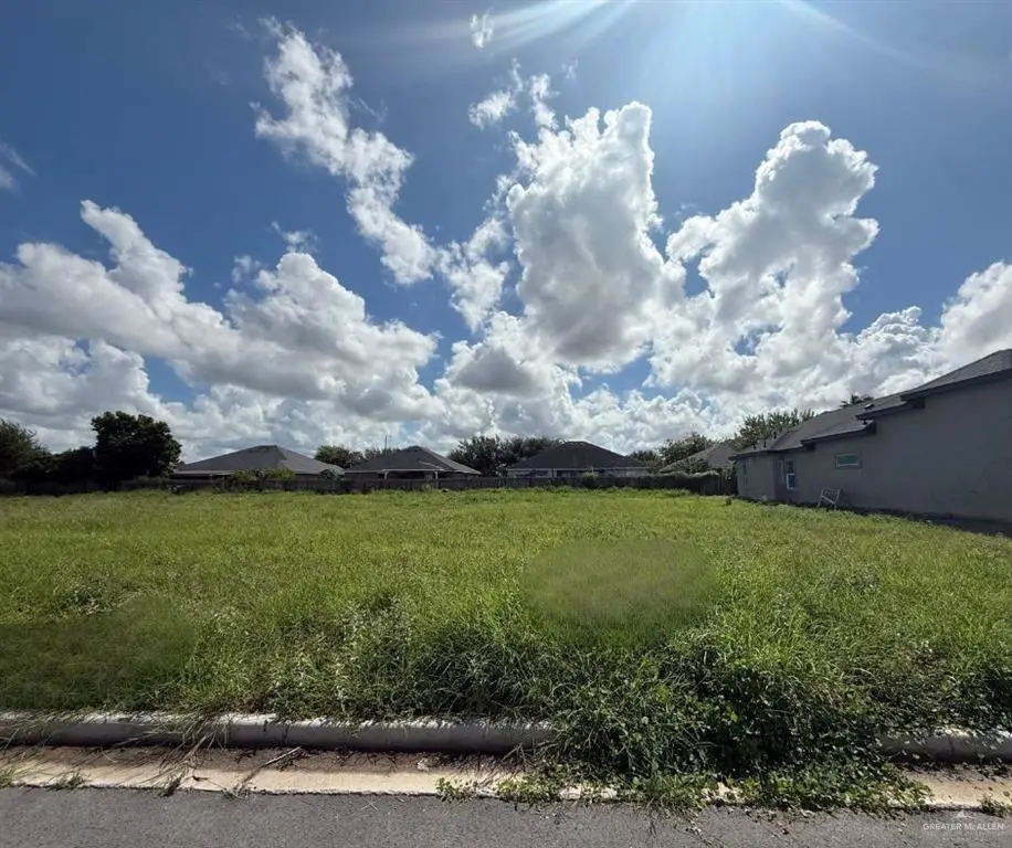 2905 Dhalia Drive, San Juan, TX 78589 - Image #1