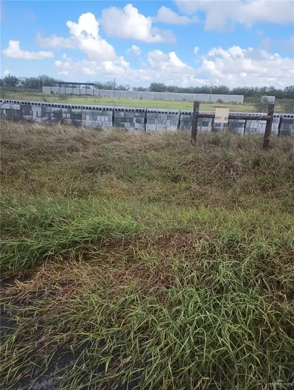 117 S Esperanza Street S, Weslaco, TX 78596 - #2