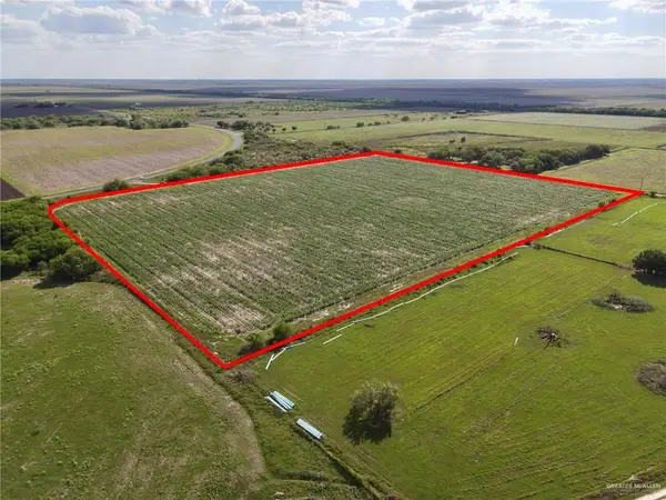 FM 2556 Cantu Road, Santa Rosa, TX 78593