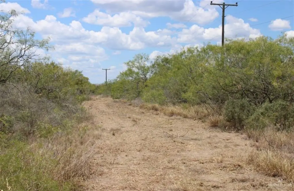 0 Cr 284 Road, Benavides, TX 78341 - Image #1