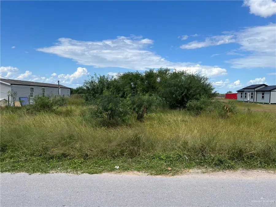 8902 Vista De Palmas Drive, Edcouch, TX 78538 - Image #2