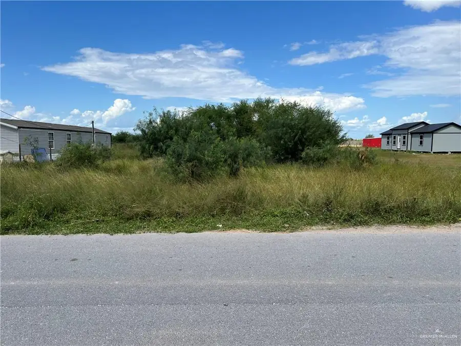 8902 Vista De Palmas Drive, Edcouch, TX 78538 - Image #3