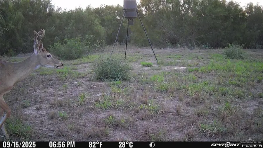 407 Cr 408, Falfurrias, TX 78355 - Image #3