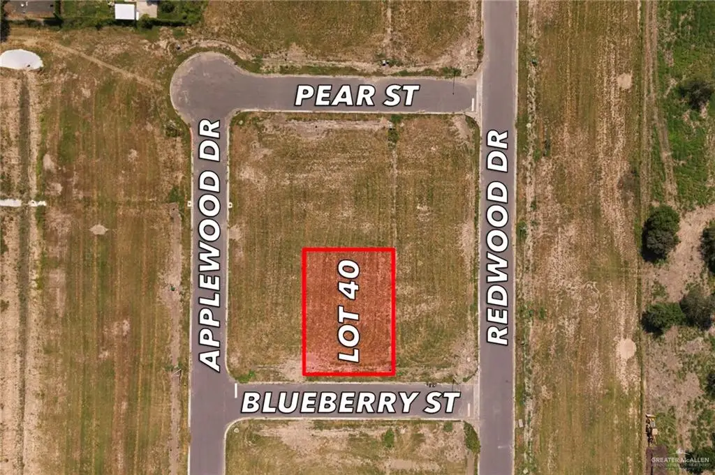 0040 Blueberry Street, Weslaco, TX 78596 - Image #1