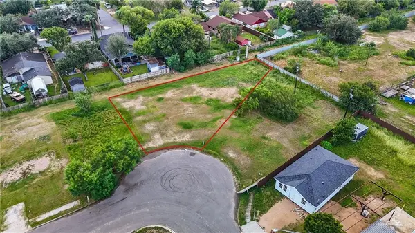 917 Trinity Street, Alamo, TX 78516