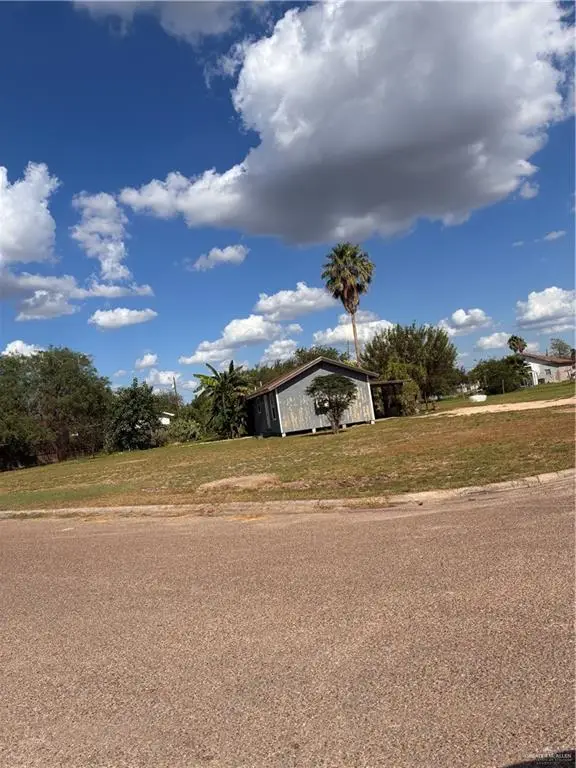 2521 Callalily Drive, Donna, TX 78537 - Image #2