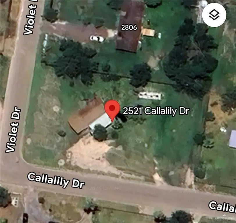 2521 Callalily Drive, Donna, TX 78537 - Image #3