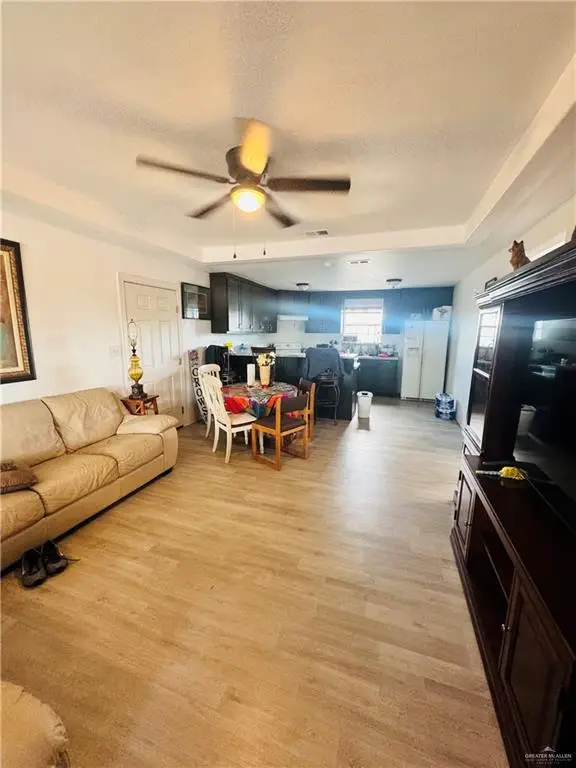 22417 Carrizales Service Road, Edinburg, TX 78542 - Image #3