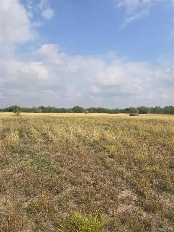 0000 Davis Road, Edinburg, TX 78541