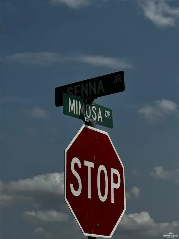 000 Senna Drive, Rio Grande City, TX 78582 - Image #2