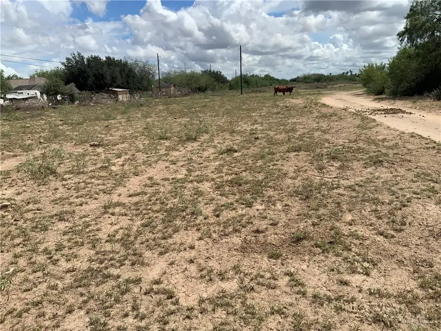 9680 N Bentsen Palm Drive, Mission, TX 78574 - Image #2