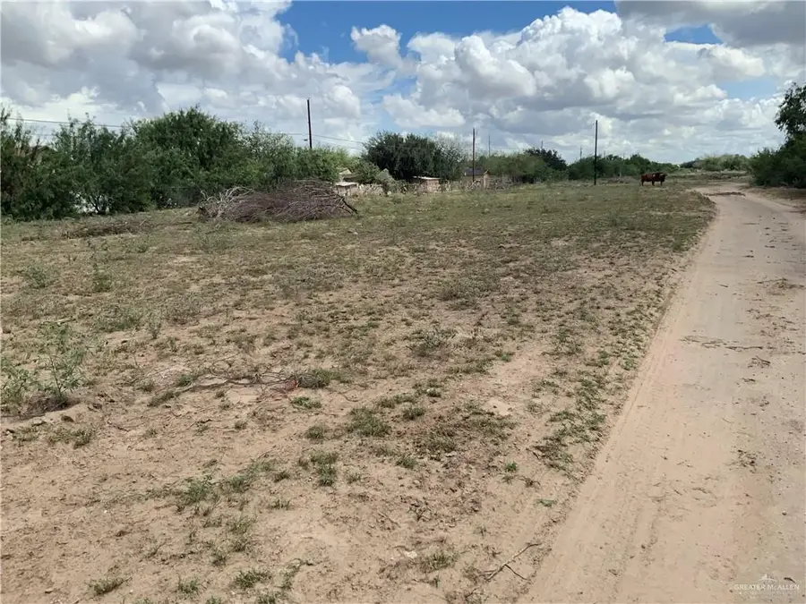 9680 N Bentsen Palm Drive, Mission, TX 78574 - Image #3