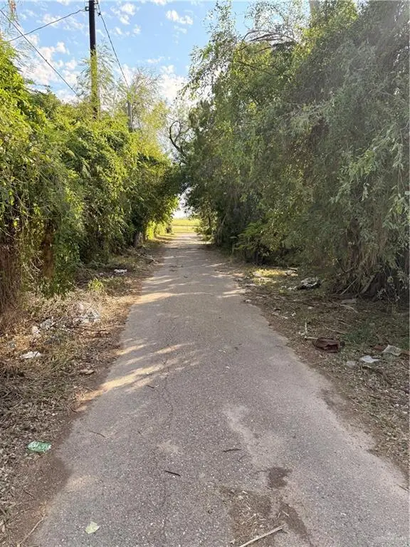 410 N Cummings Avenue, Mission, TX 78572 - Image #3