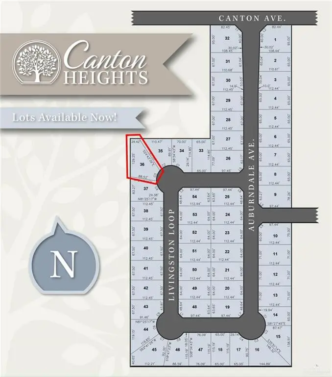 2923 E Weston Street, Edinburg, TX 78542 - Image #3