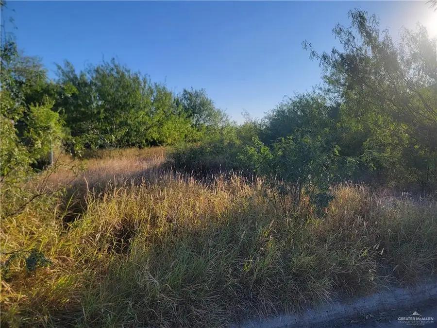 2011 Tiffany Street, Mission, TX 78573 - Image #2