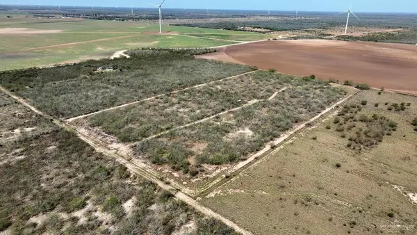 29101 Mile 17 1/2 Road, Edinburg, TX 78541