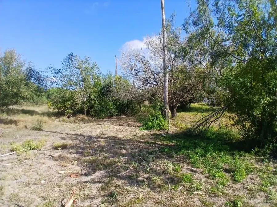 5410 Victory Avenue, Edinburg, TX 78542 - Image #3