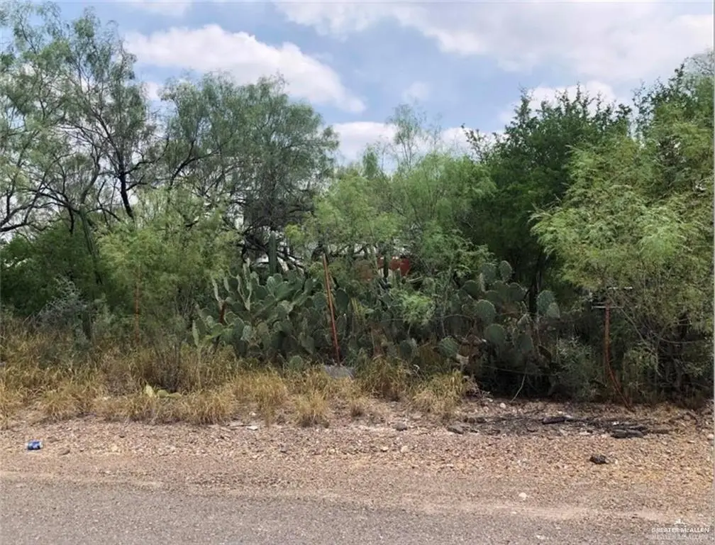 00 N Ebony Avenue, Roma, TX 78584 - Image #1