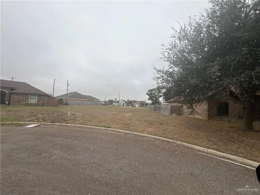 3334 Tulipan Avenue, Edinburg, TX 78542 - Image #2