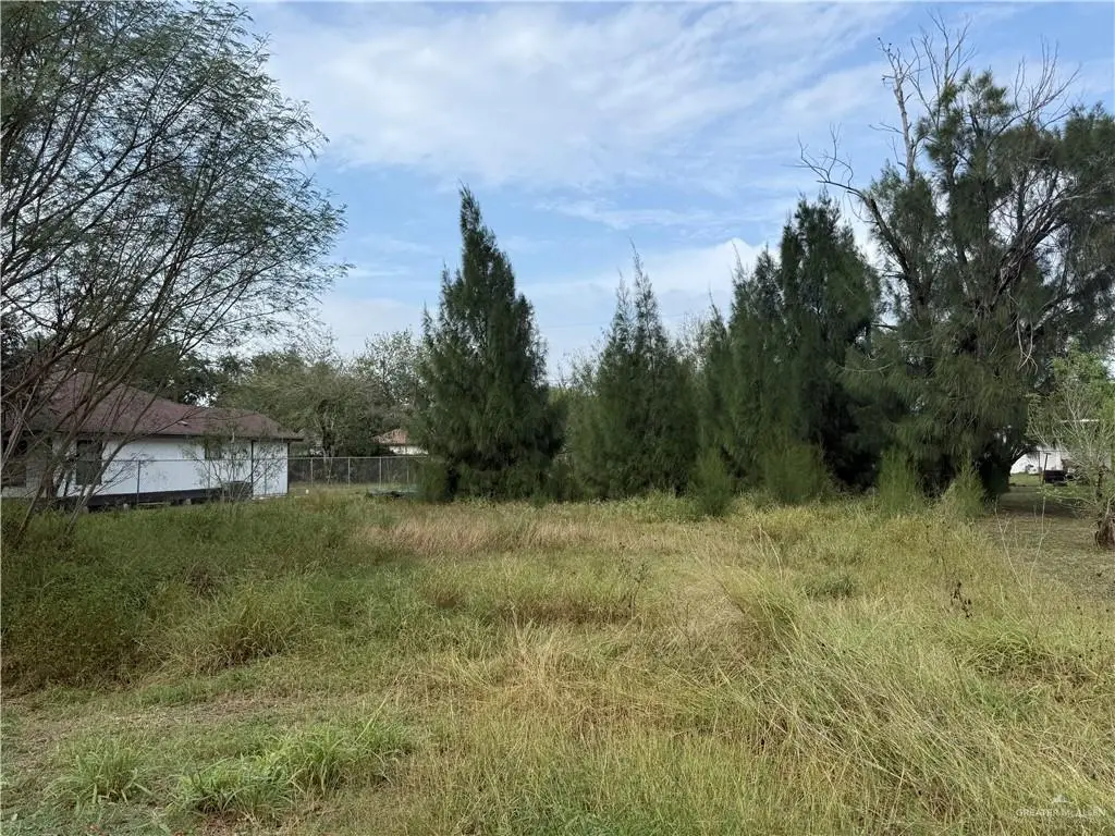 13206 Ash Avenue, Edinburg, TX 78542 - Image #1