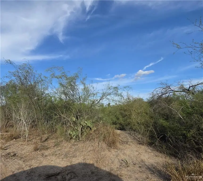 0 E St. Jude Avenue, Alton, TX 78573 - Image #3