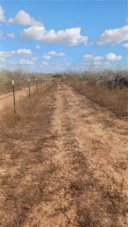 78 Energy Road, San Isidro, TX 78588 - #2