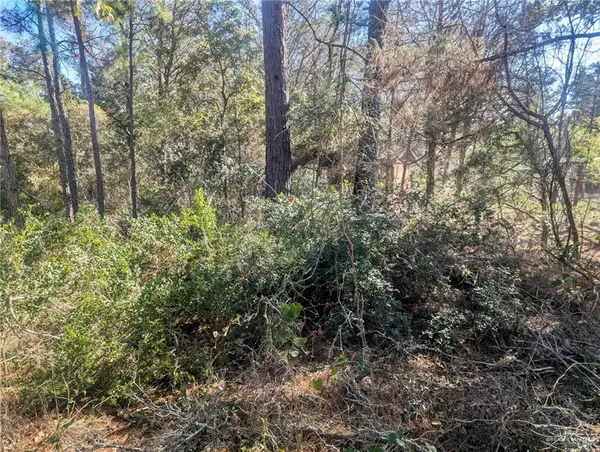 00 Mohawk Drive, Other, TX 78957