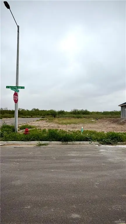 0 E Tamarindo Avenue, Hidalgo, TX 78503 - Image #2