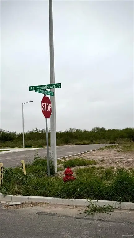 0 E Tamarindo Avenue, Hidalgo, TX 78503 - Image #3