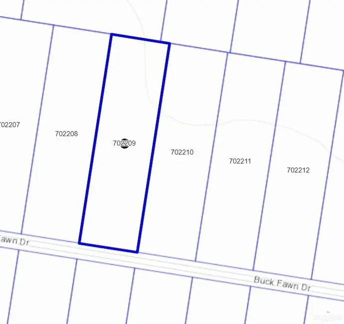 19904 Buck Fawn Drive, Edinburg, TX 78542 - Image #2