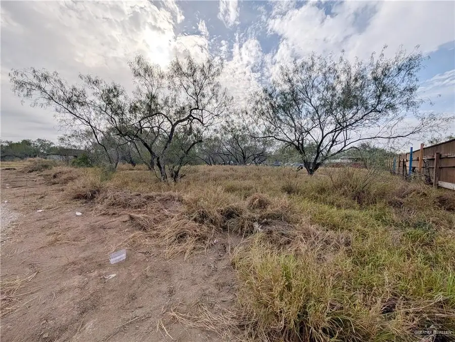 7403 La Buda Drive, Edinburg, TX 78541 - Image #3