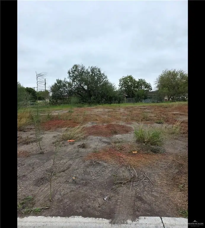 3421 S L Street, McAllen, TX 78503 - Image #1