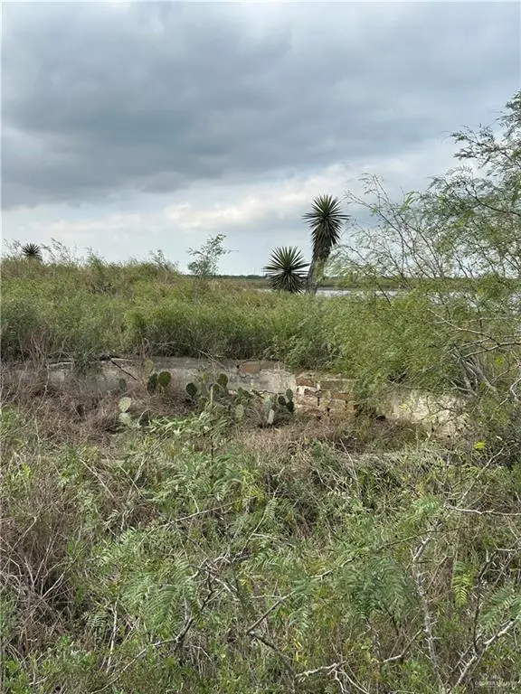 Tract 1 Fernando East Road, Rio Hondo, TX 78583