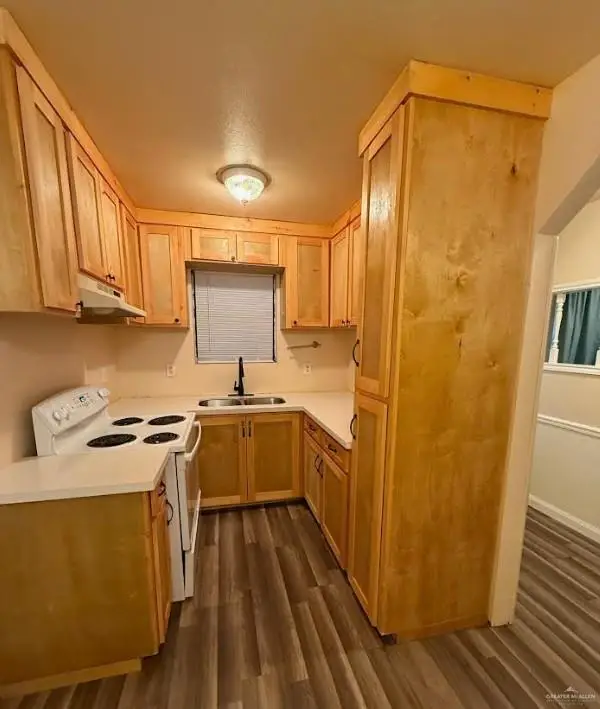 2815 Tierra Dorada Boulevard, Mission, TX 78572 - Image #3