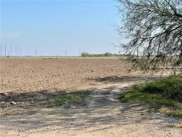 TBD N Gonzalez Street, Progreso, TX 78579