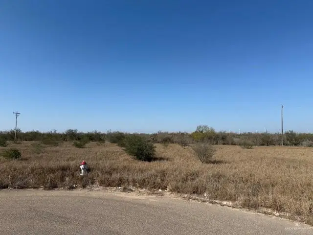 00 Eisenhower Road, Rio Grande City, TX 78582 - Image #1