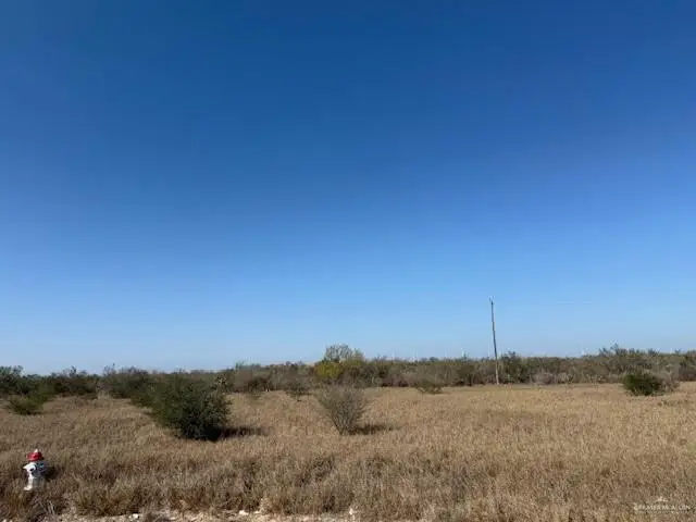 00 Eisenhower Road, Rio Grande City, TX 78582 - Image #2